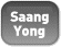 Saang Yong alkatrészek logo